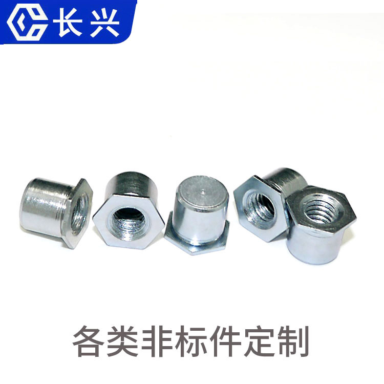 非標定制,非標螺絲,非標加工,來圖來樣加工,軸類,銷類不銹鋼碳鋼鍍銅鋁材質